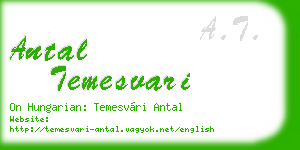 antal temesvari business card