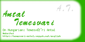 antal temesvari business card